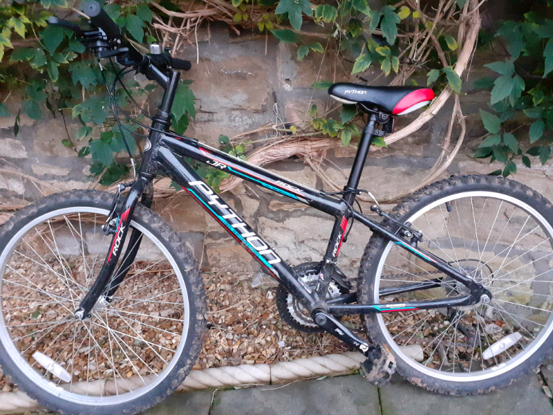 python rock bike 24
